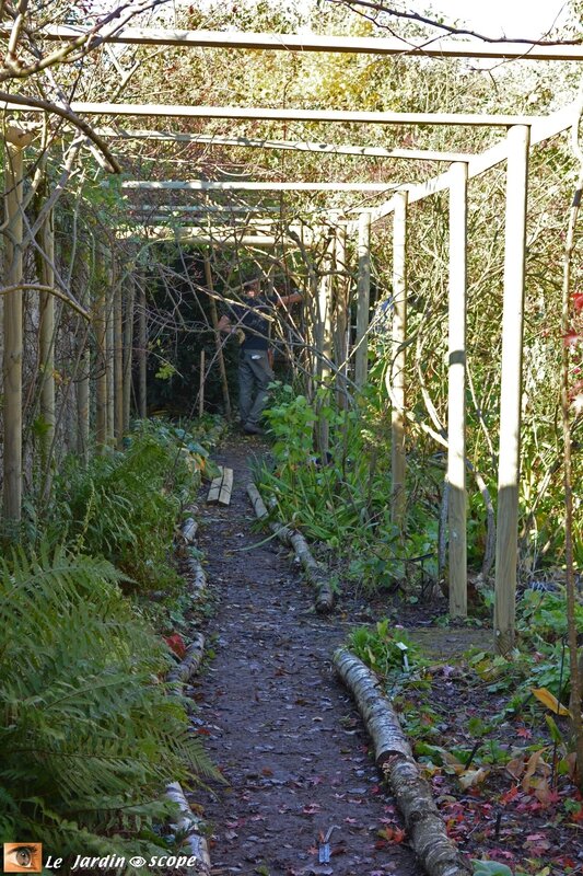 Les nouvelles pergolas du Jardin d'André Eve