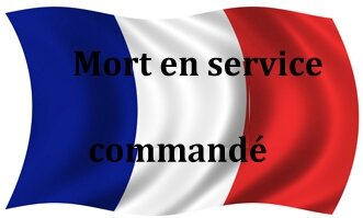 Mort en service commandé