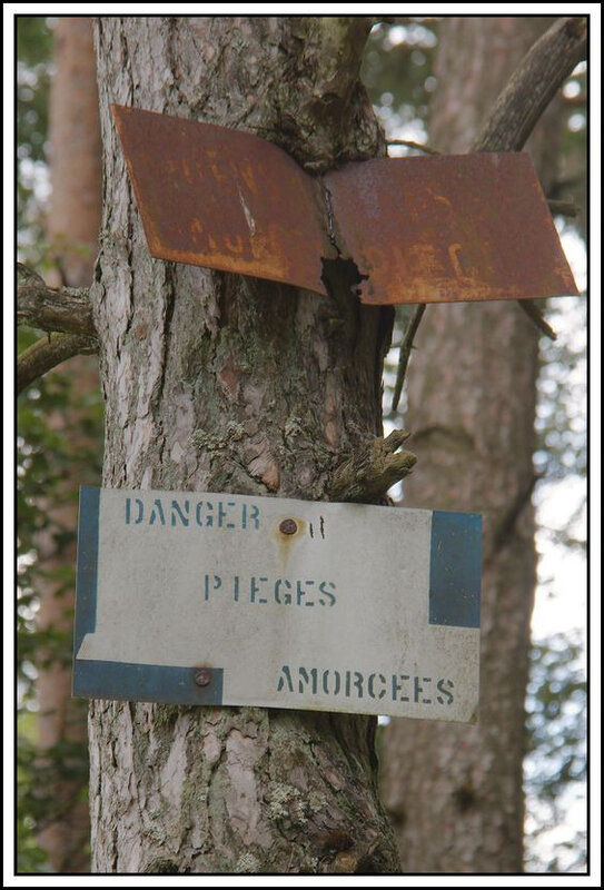 Ils devraient arrêter de tirer le gibier et plutôt se passionner pour la chasse aux fautes d'orthographe !