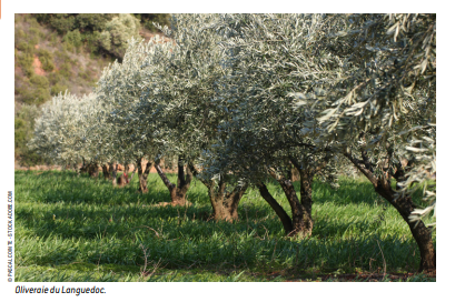 2023_01_02_12_21_57_Greenshot