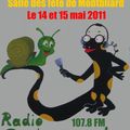 radio salamandre