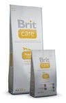 Britcare