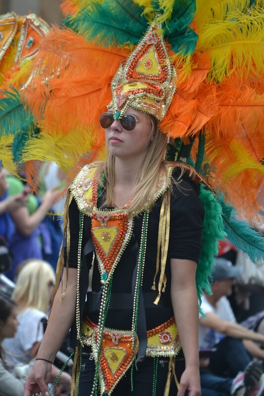 carnaval parade ed 051