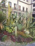 jardin_palacio_nacionl