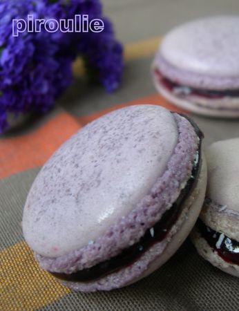 macaron_myrtille__11_