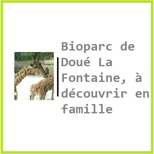 Bioparc de Doué La Fontaine, à découvrir en famille
