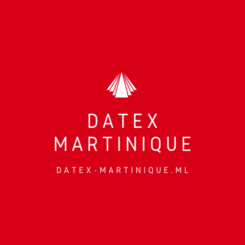 Datex Martinique (56)