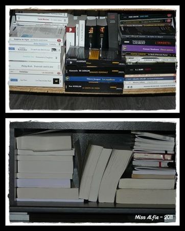 Bibliothèques 1