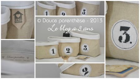 blog 3 ANS