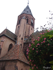 alsace2