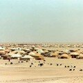 western sahara/ الصحراء الغربية