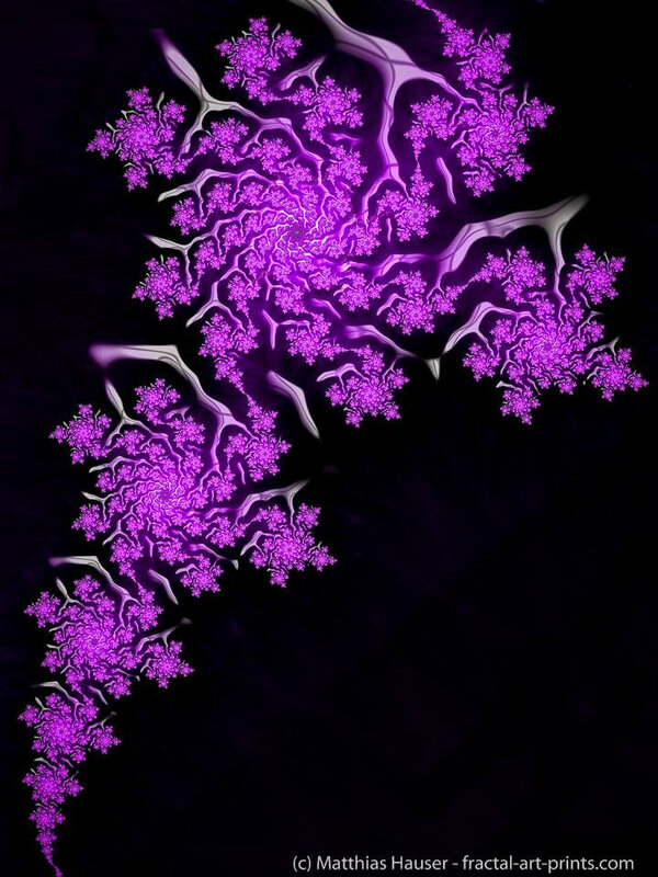 Pulp Fractal Flower