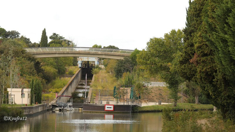 Photos JMP©Koufra12 - Canal du midi- 24092018 - 0111