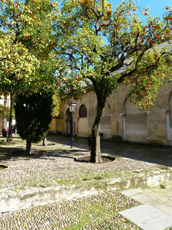 P1190777