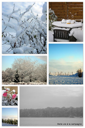 Neige_021208