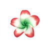 fleur_polymere_rouge_blanc_vert