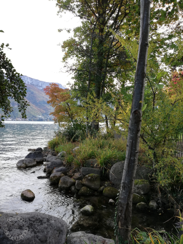 Annecy 2020_16