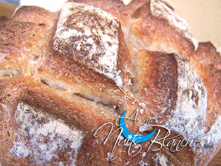 PAIN_LEVAIN4