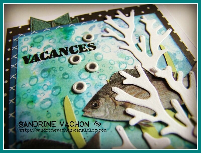 Sandrine VACHON DT blog PCC (3)