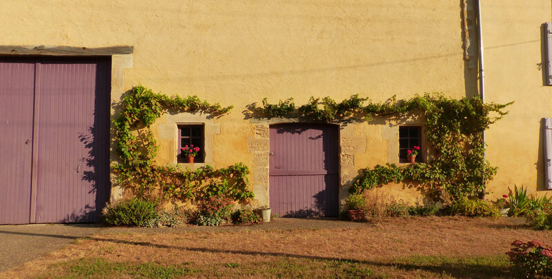 P1550389
