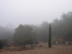 brouillard_2