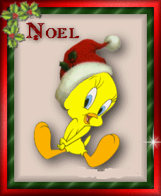 noel_titi