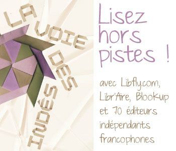 pave-voie-des-indes