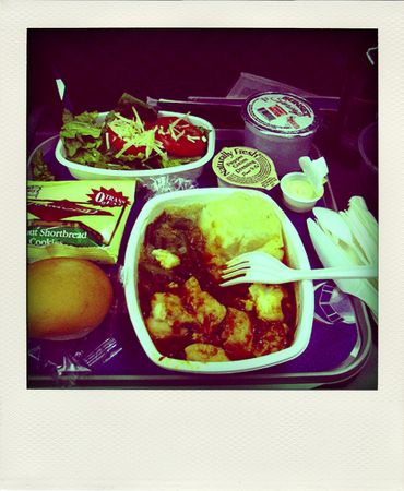 American_Airlines_Meal_pola01