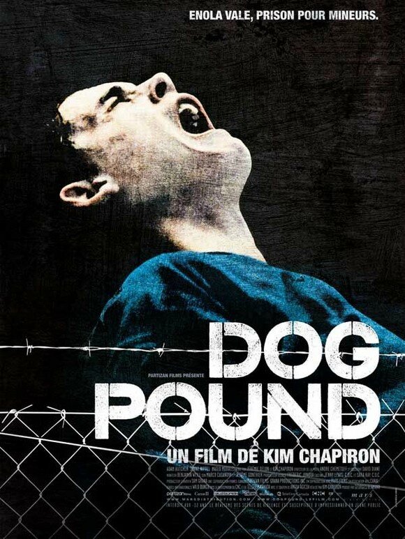 dog-pound