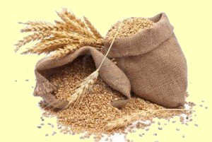 95-05-11 5 grains