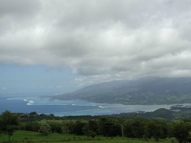 TAHI_003