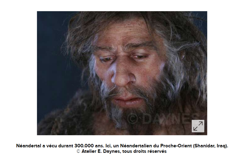Néandertal v^écue 300 000 ans