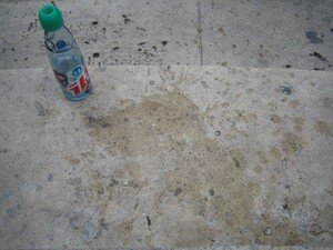 IMG_2562