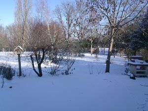 sous la neige 004