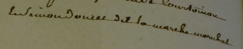95-07-14 1 détail 1