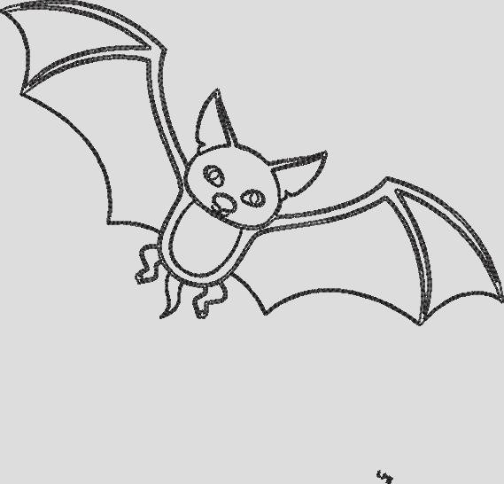 CHAUVE SOURIS