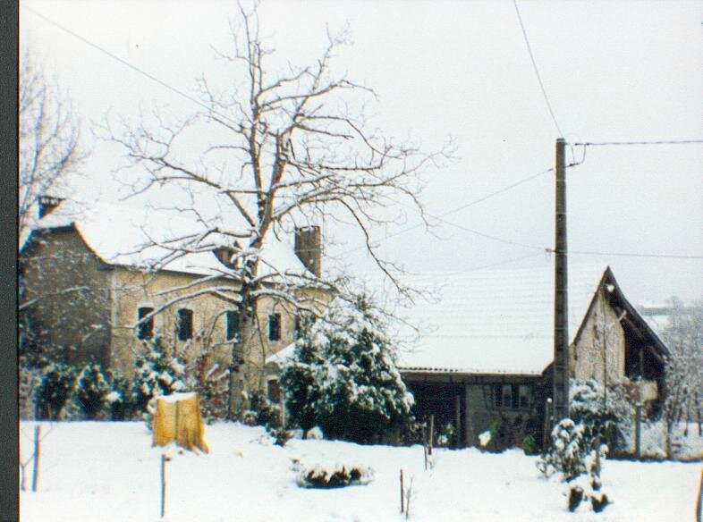 neige9231