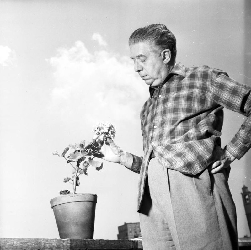 eugenio-montale-1956[1]