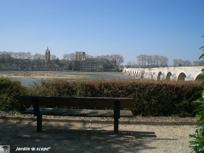 Banc face à la loire à Beaugency