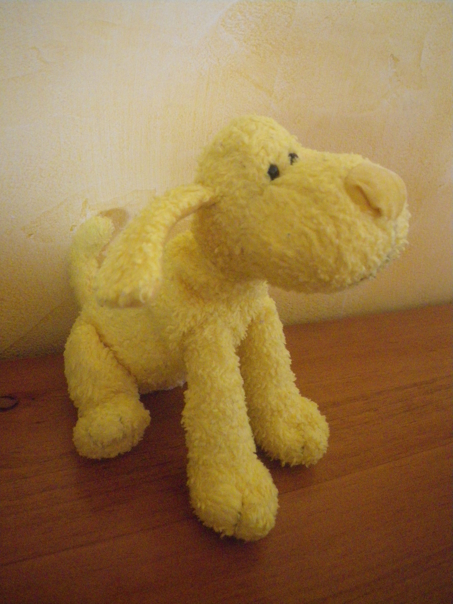 n°5 chien