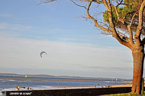 Kytesurf en Arcachon -Plage Pereire mi-novembre 2010