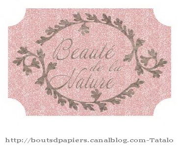 Beaut__de_la_nature_boudoir_et_pink_rose