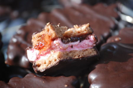 PETITS BISCUITS CHOCOLAT/GUIMAUVE recettes dessert PETITS BISCUITS CHOCOLAT/GUIMAUVE