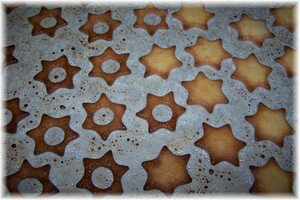 Etoiles_de_Noel_003_bis