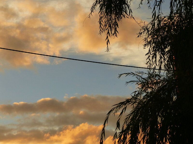 P1550844
