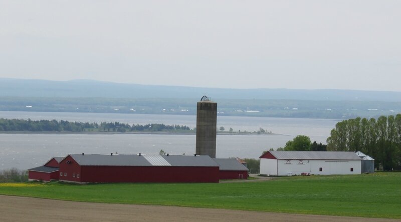 ferme_ile d'Orléans_etsionjasait