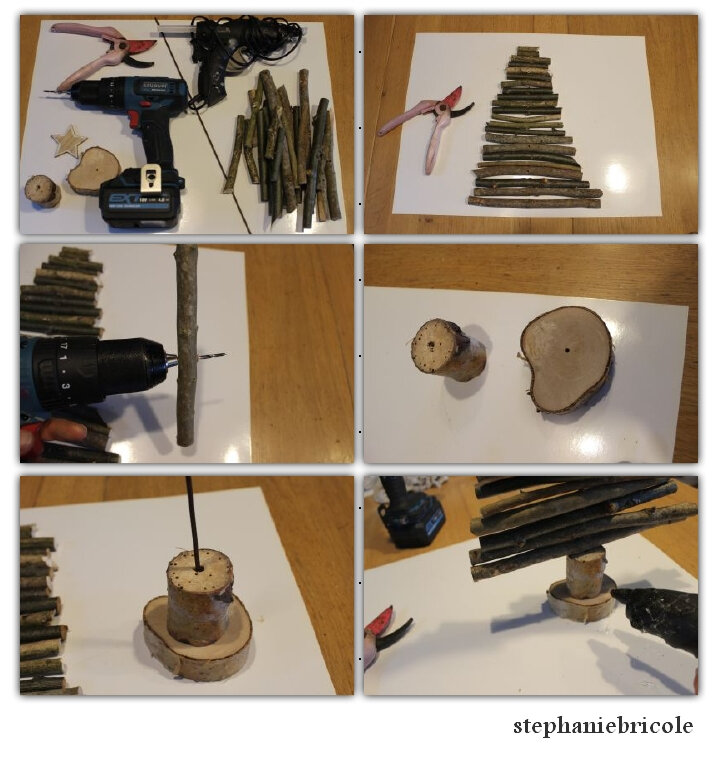 sapin branchage