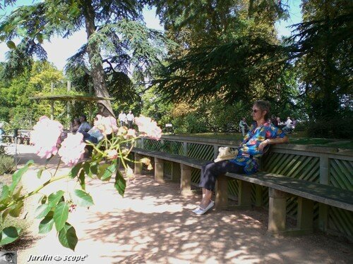 Banquette de la Roseraie au Parc Floral Orléans