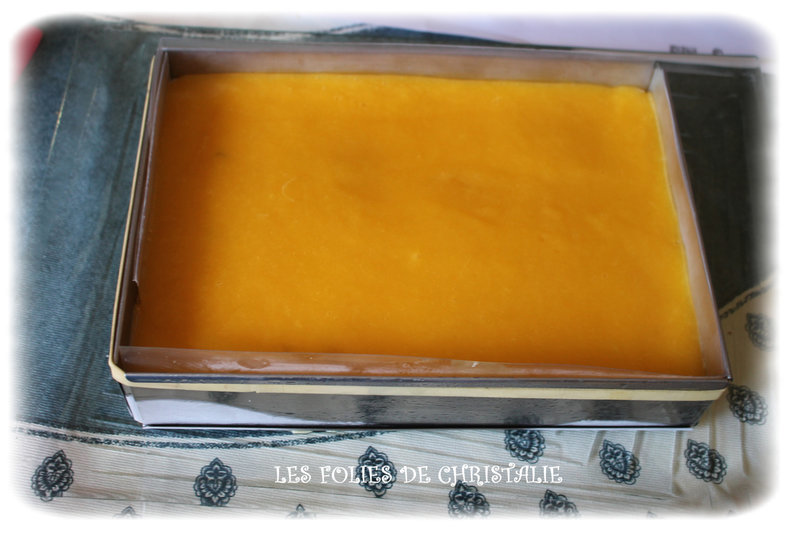Bavarois passion mangue 6