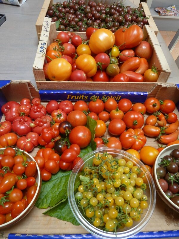 9-tomates du jour (6)